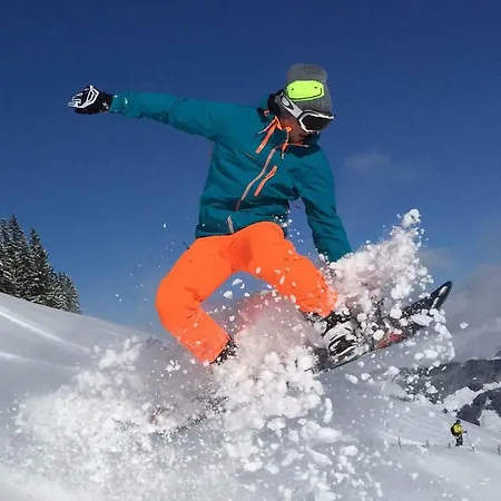 Апартаменты Haus Waldhof Бриксен-им-Тале